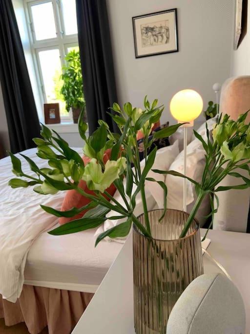 Big 10 Min Walk From Citycenter-swimmingpool Villaer